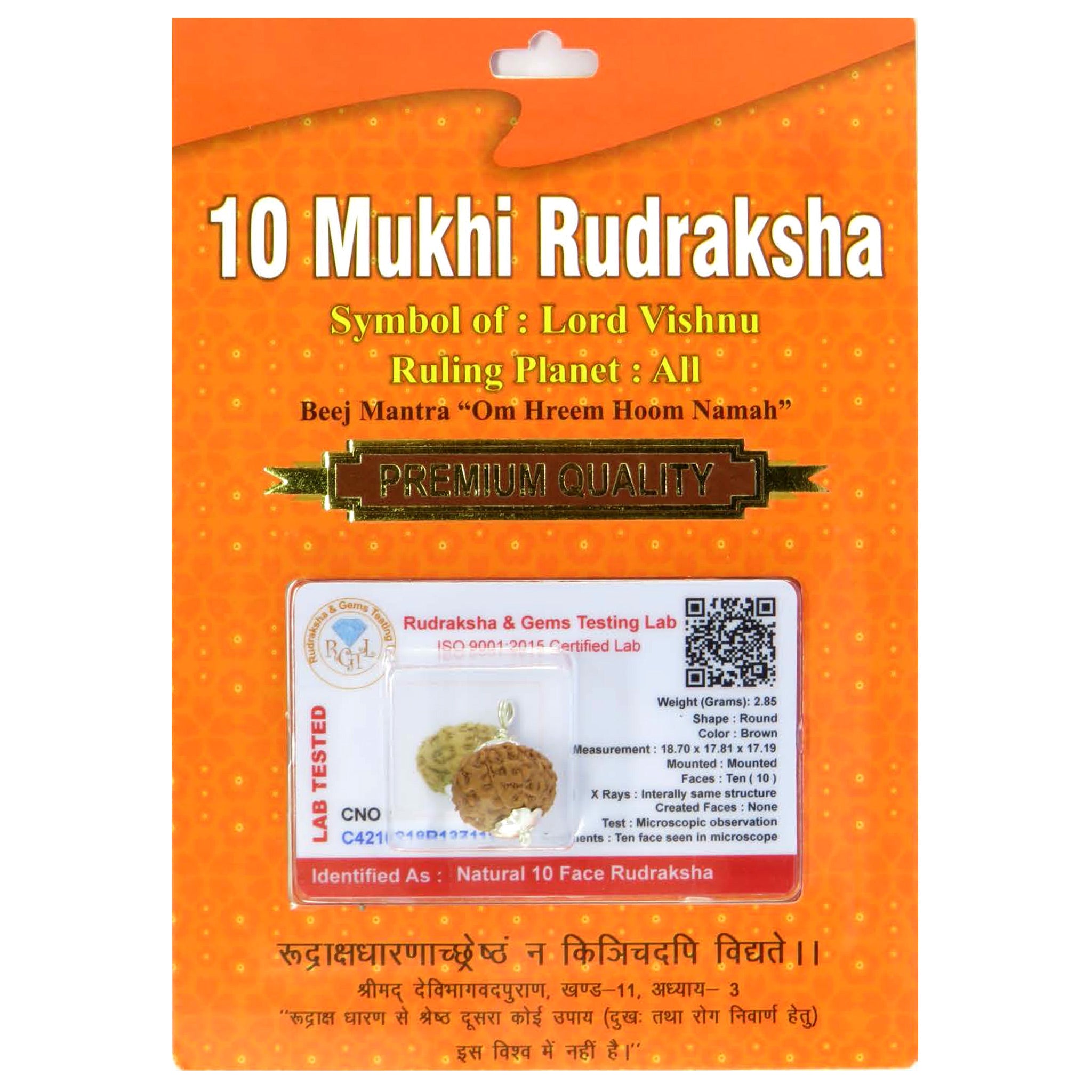 10 Mukhi Rudraksha 100 Natural by Lab Certified  Silver Cap