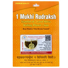 1 Mukhi Kaju Dana Rudraksha 100 Natural by Lab Certified  Golden Cap