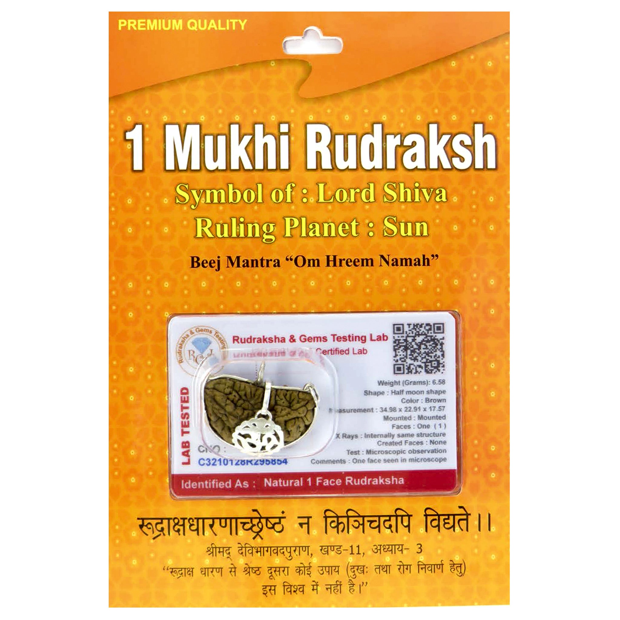 1 Mukhi Kaju Dana Rudraksha 100 Natural by Lab Certified  SilverCap