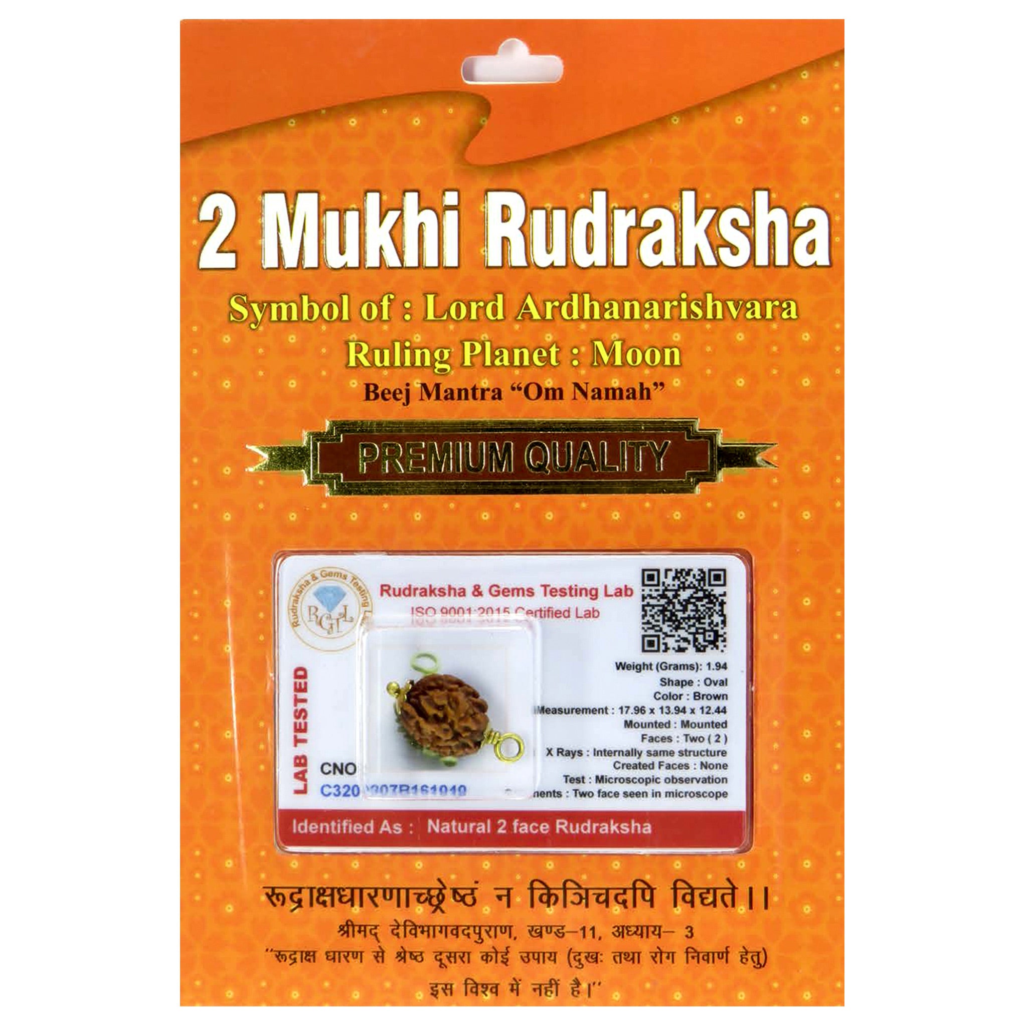 2 Mukhi Rudraksha 100 Natural by Lab Certified  Golden Cap