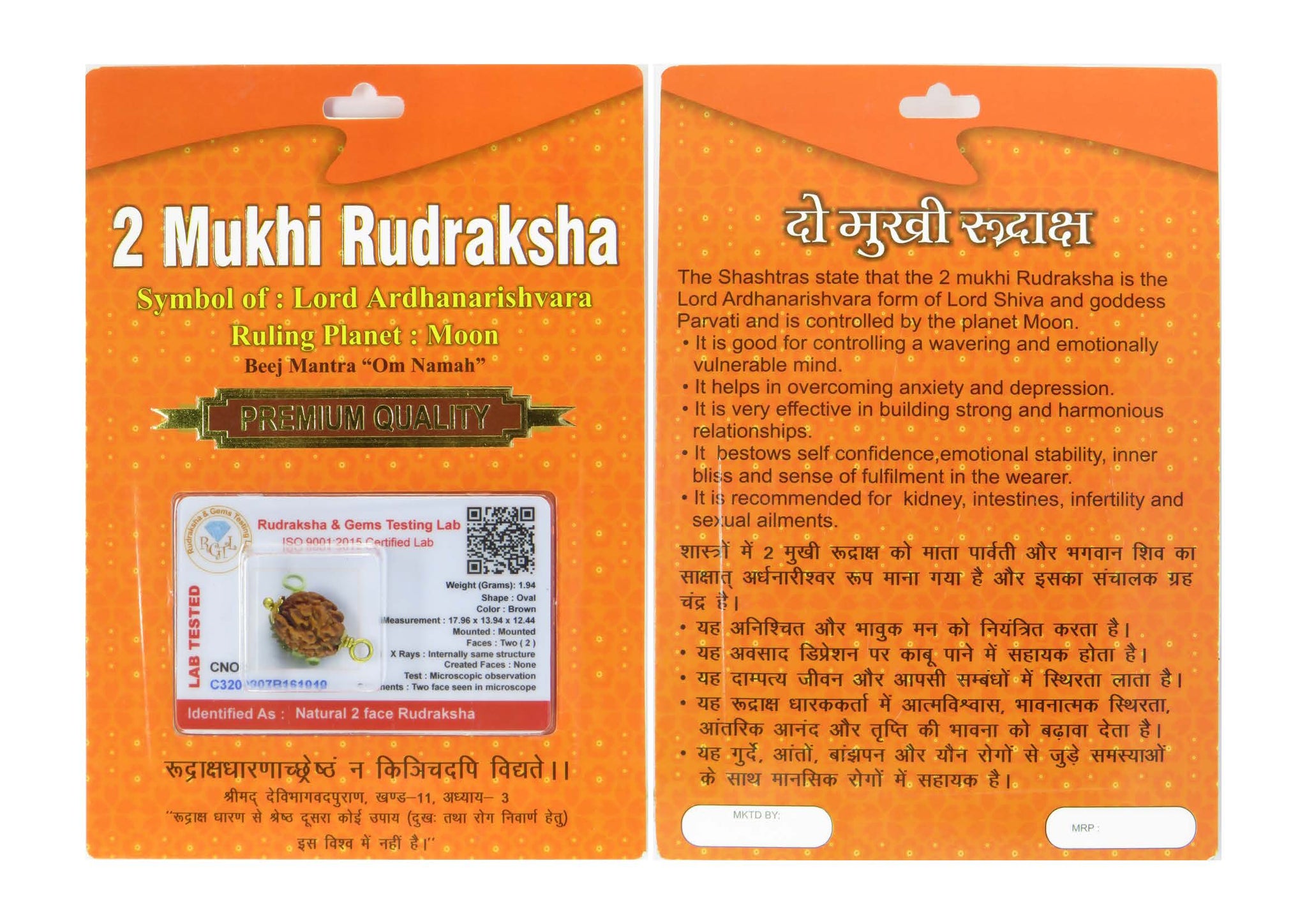 2 Mukhi Rudraksha 100 Natural by Lab Certified  Golden Cap