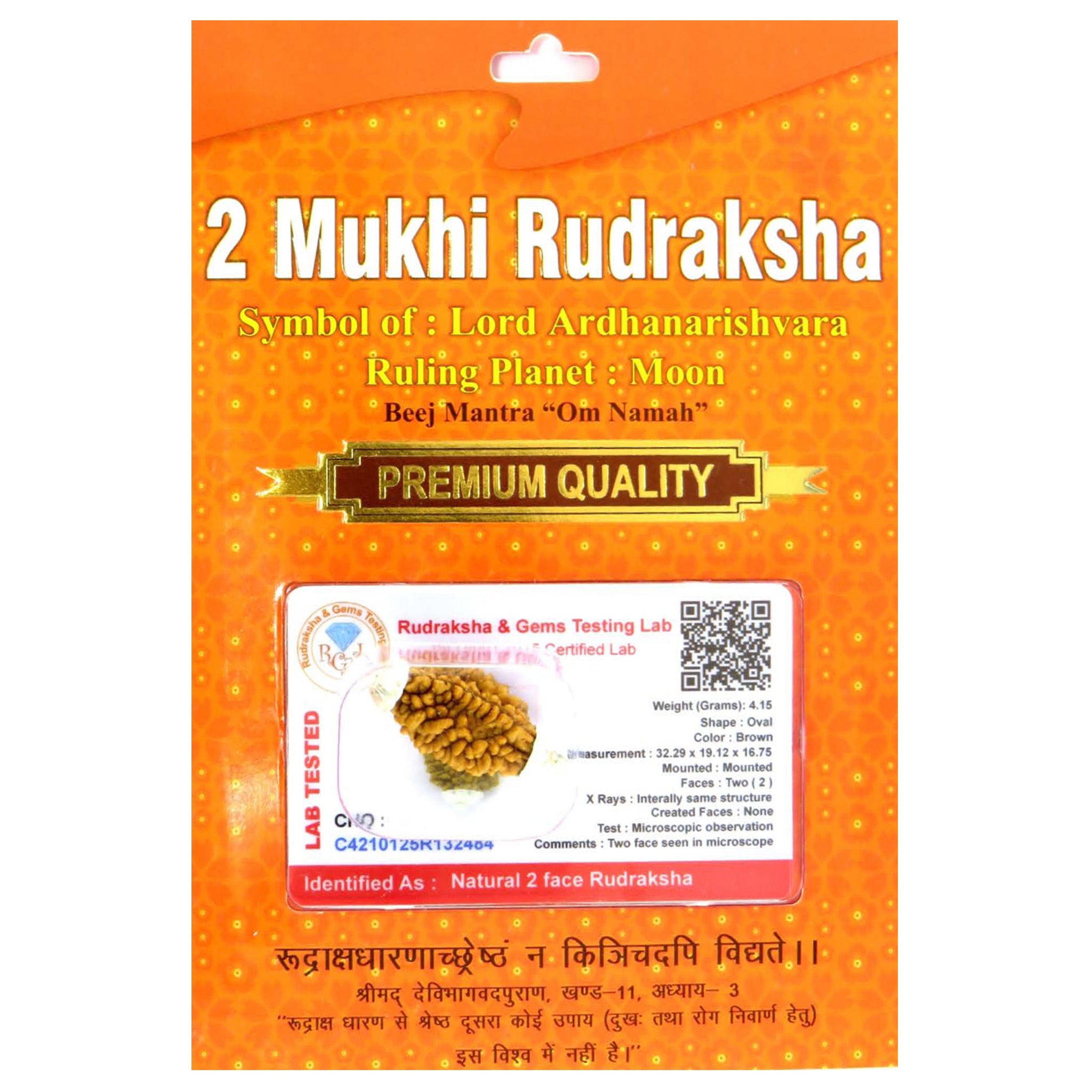 2 Mukhi Rudraksha 100 Natural by Lab Certified  Silver Cap