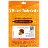 3 Mukhi Rudraksha 100 Natural by Lab Certified  Gold Cap