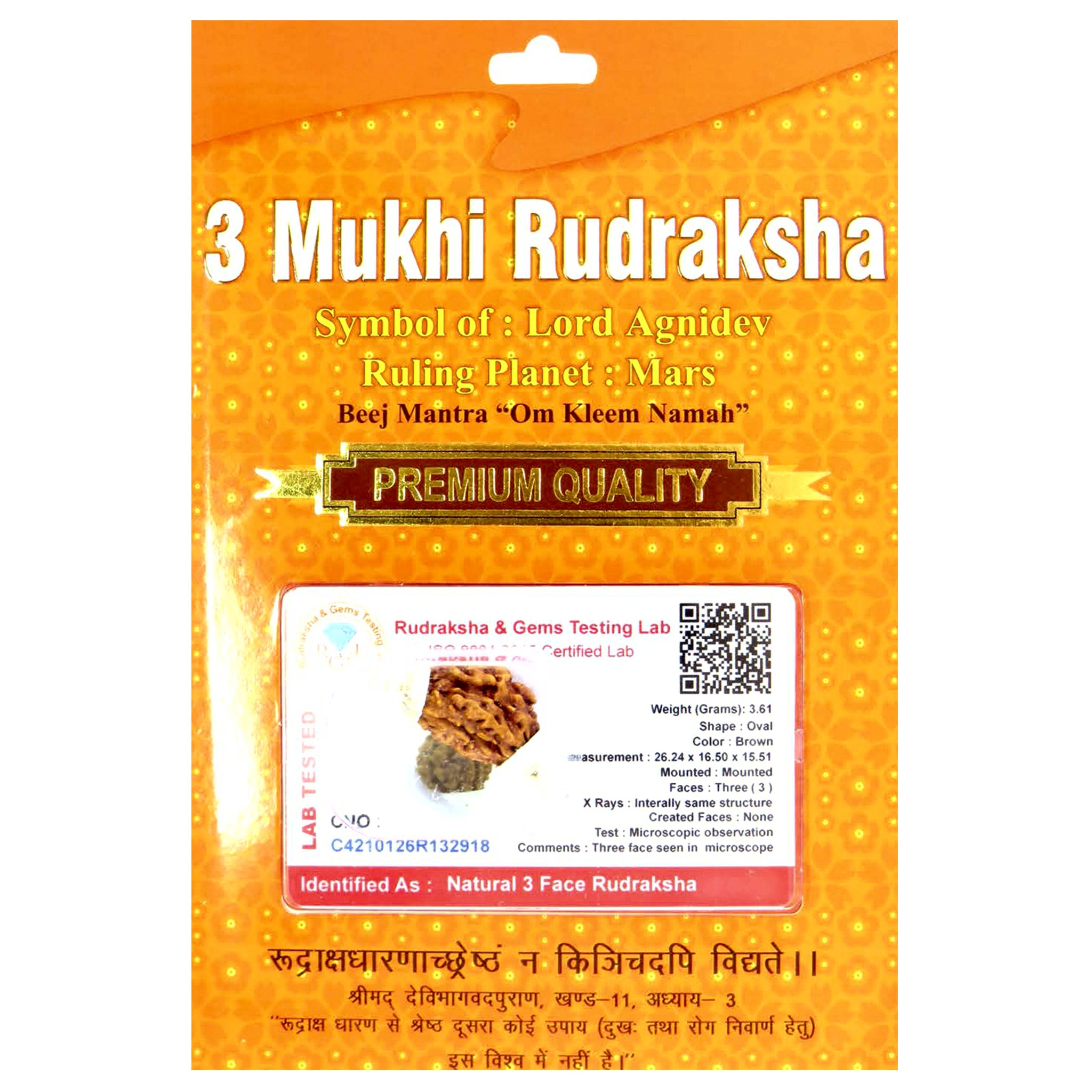 3 Mukhi Rudraksha 100 Natural by Lab Certified  Silver Cap