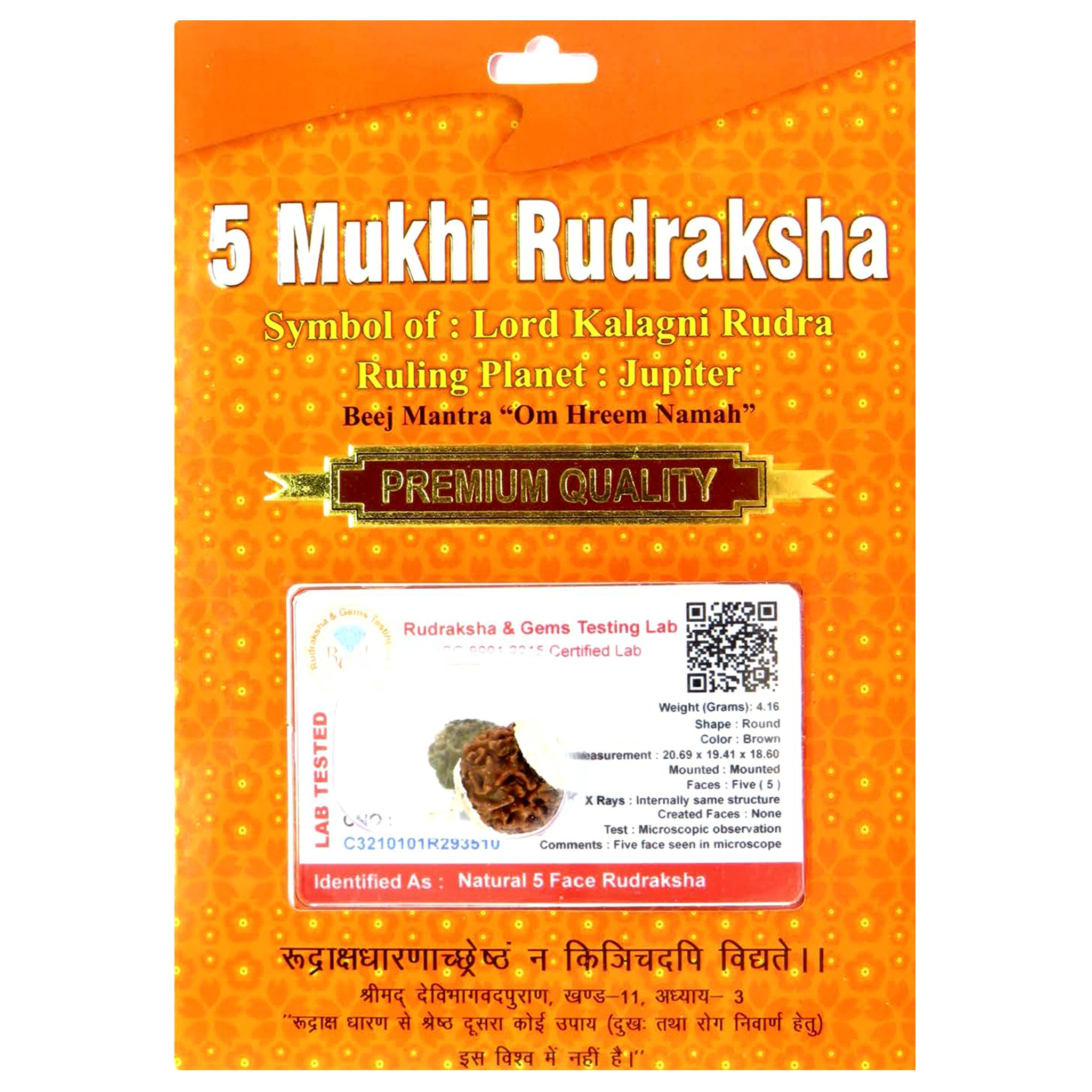 5 Mukhi Rudraksha 100 Natural by Lab Certified  Silver Cap Nepal