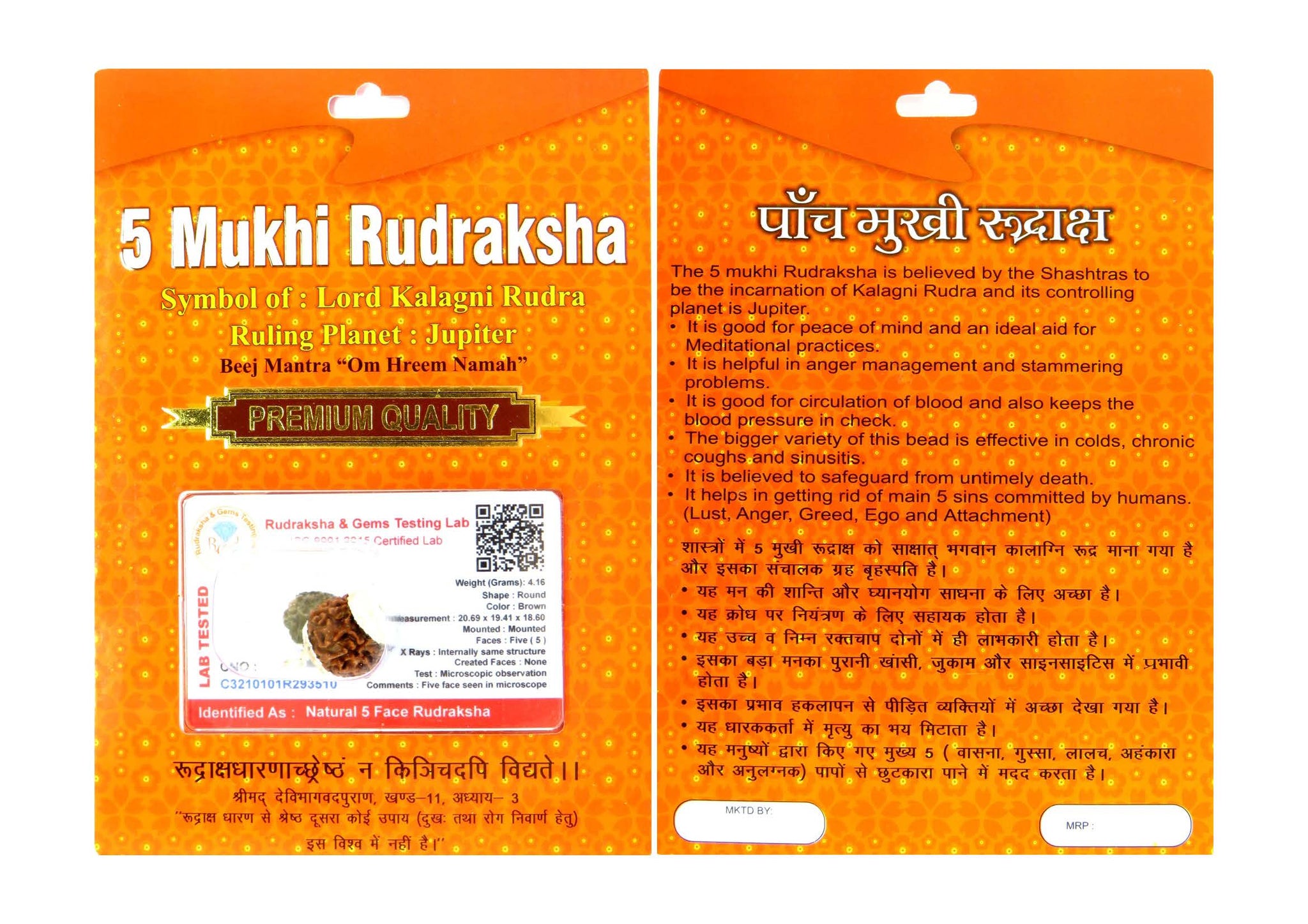 5 Mukhi Rudraksha 100 Natural by Lab Certified  Silver Cap Nepal