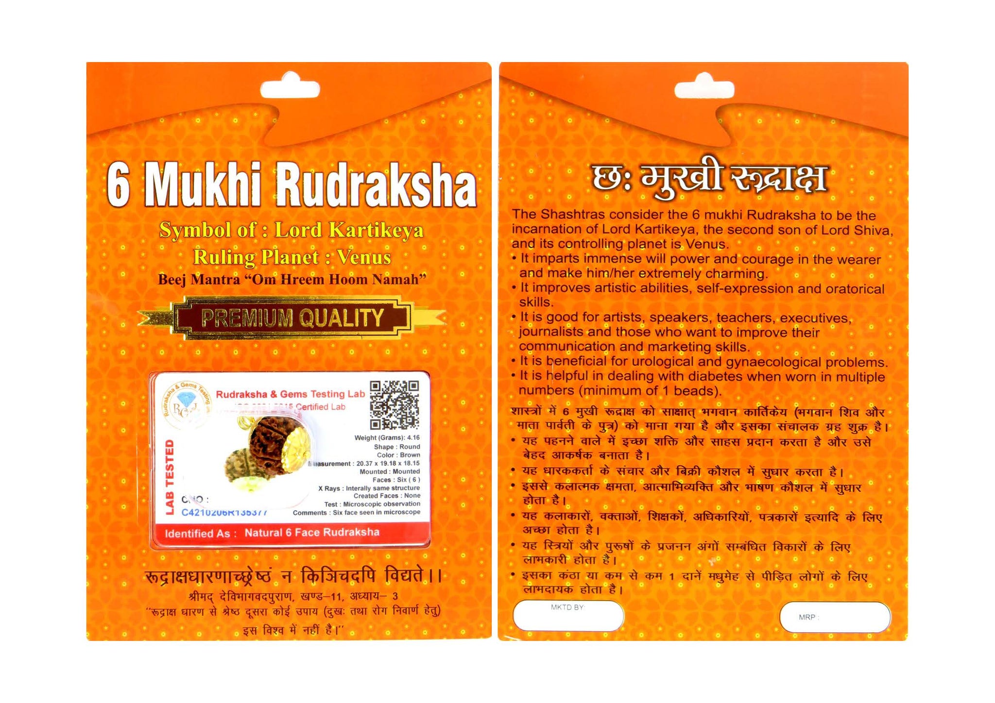 6 Mukhi Rudraksha 100 Natural by Lab Certified  Gold Cap Nepal