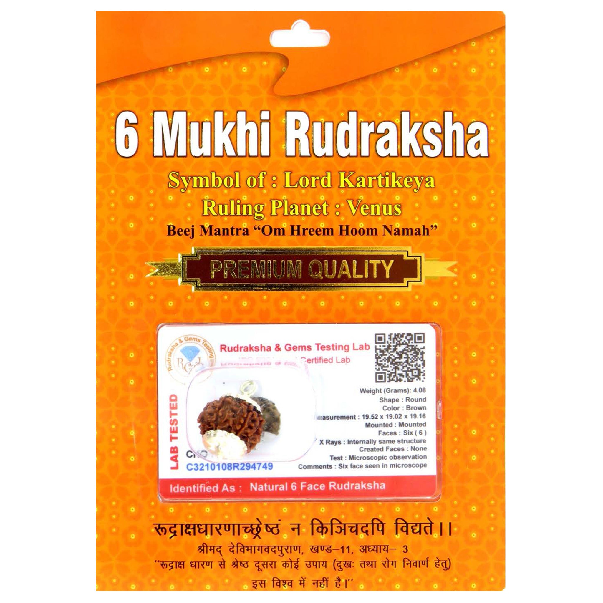 6 Mukhi Rudraksha 100 Natural by Lab Certified  Silver Cap Nepal
