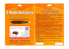 6 Mukhi Rudraksha 100 Natural by Lab Certified  Silver Cap Nepal