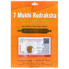 7 Mukhi Rudraksha 100 Natural by Lab Certified  Silver Cap Nepal
