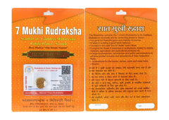 7 Mukhi Rudraksha 100 Natural by Lab Certified  Silver Cap Nepal