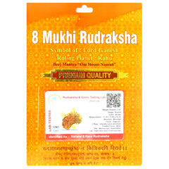8 Mukhi Rudraksha 100 Natural by Lab Certified  Gold Cap