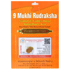9 Mukhi Rudraksha 100 Natural by Lab Certified  Silver Cap