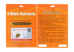 9 Mukhi Rudraksha 100 Natural by Lab Certified  Silver Cap