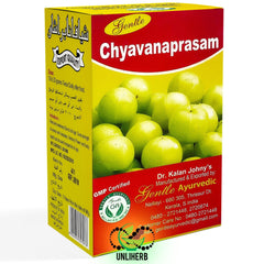 Gentle Chyavanaprasam 300g