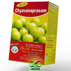 Gentle Chyavanaprasam 300g