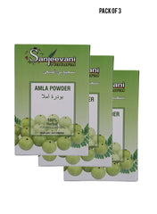 Sanjeevani Natural Amla Powder 100g  100 Herbal For Women  Men 100g Value Pack of 3 